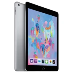 APPLE iPad 5 (2017) 9,7" 32Go Gris WiFi - Reconditionné grade éco+ Coque