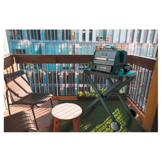 Barbecue de table NINJA WOODFIRE OG701EU