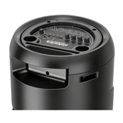 Enceinte PICKERING ULTIMATSOUND 1000