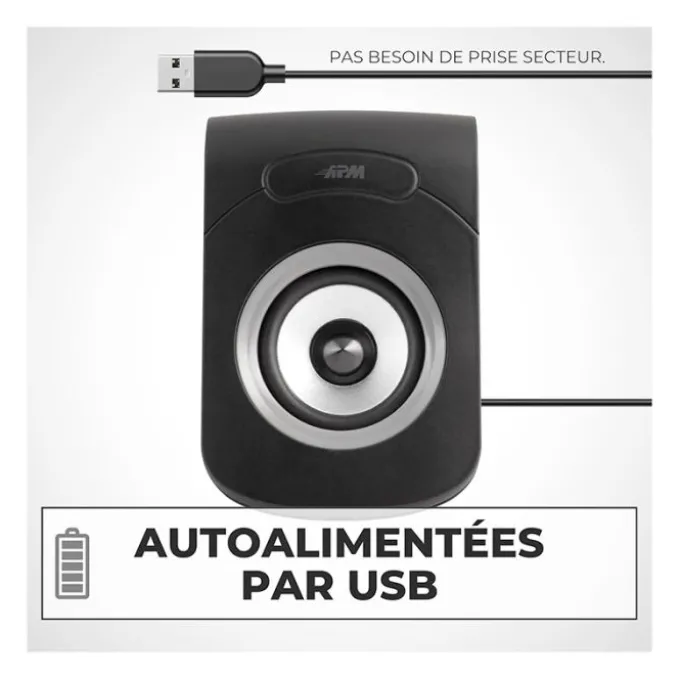 Enceintes APM Filaires USB 2.0 - Duo Haut-Parleurs PC