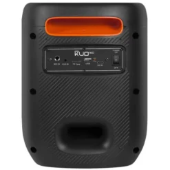 Enceinte Sono PICKERING SOUNDKUB 160