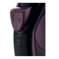 Fer à repasser Russell Hobbs Colour Control Pro Ultra 2800W