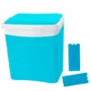 Glacière 25L + 2 pains de glace 350g