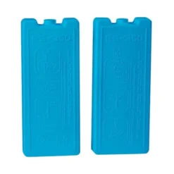 Glacière 25L + 2 pains de glace 350g