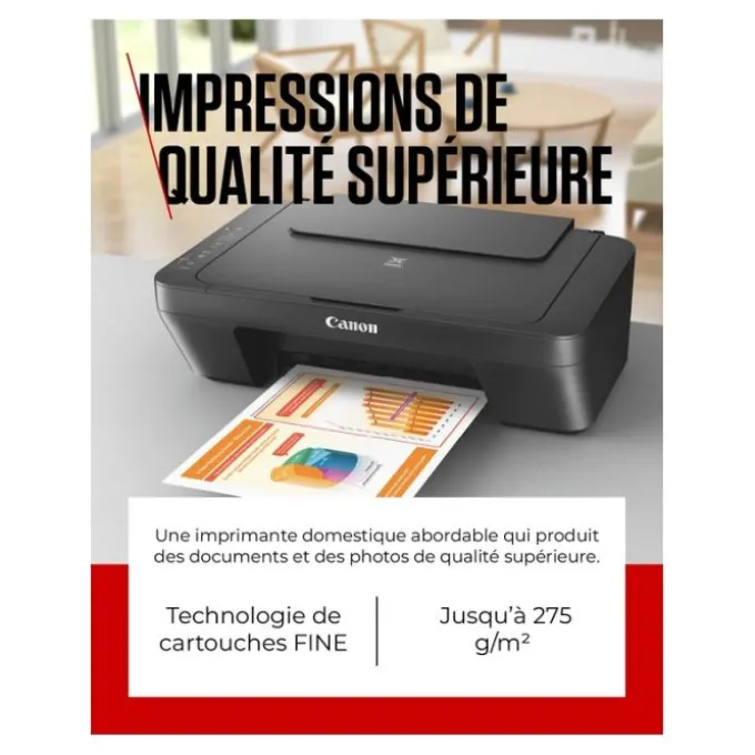 Imprimante CANON MG2556S multifonction SANS WIFI
