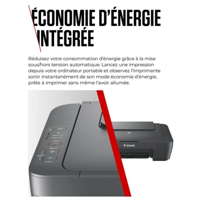 Imprimante CANON MG2556S multifonction SANS WIFI