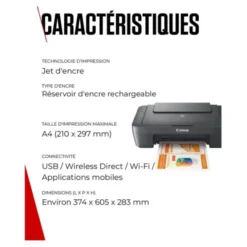 Imprimante CANON MG2556S multifonction SANS WIFI
