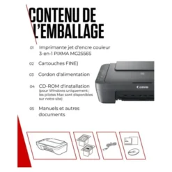 Imprimante CANON MG2556S multifonction SANS WIFI