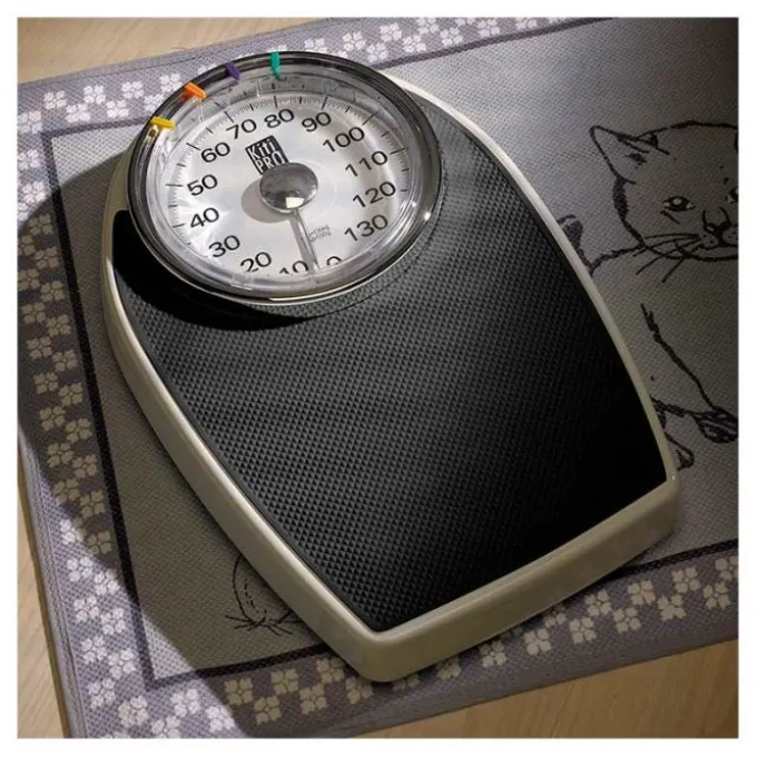 Pèse-pers mécanique KITIPRO DR SCALE XL