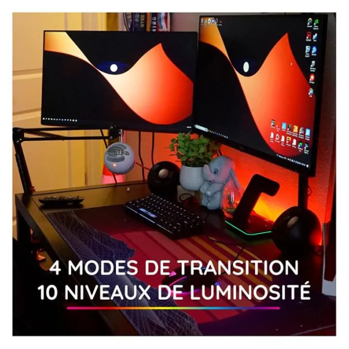Ruban LED R-MUSIC RGB 3m Connecté