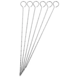 SET 6 PICS 27cm pour barbecue