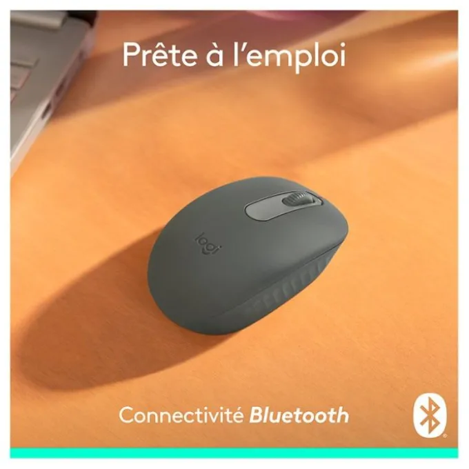 Souris sans fil LOGITECH M196 Graphite bluetooth