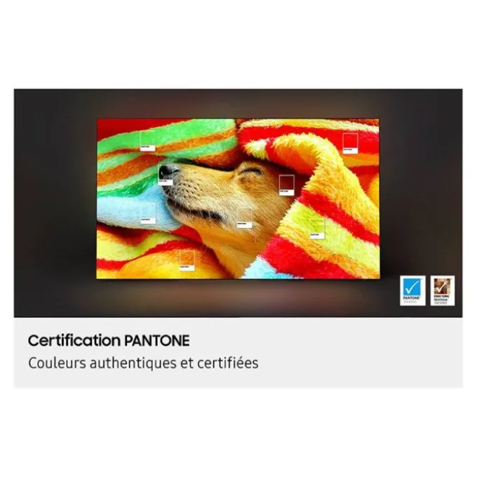 TV OLED 55" SAMSUNG Q55S84F