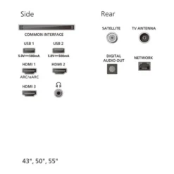 TV QLED 55